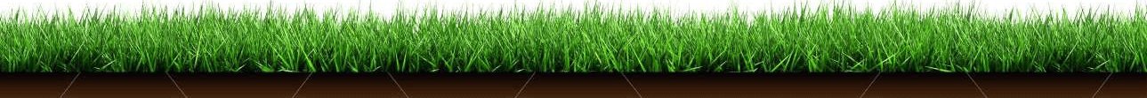 grass
