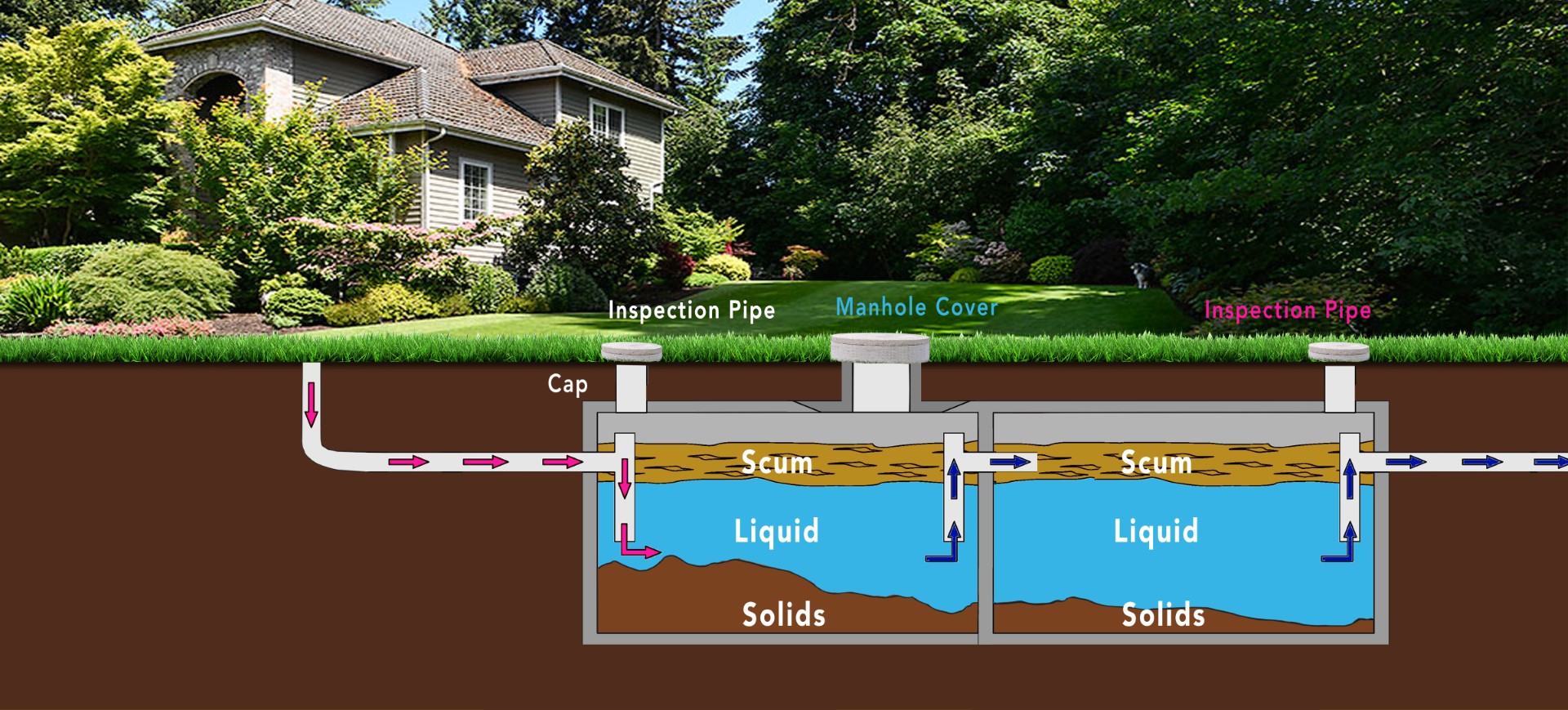 Tank Septic Diagram